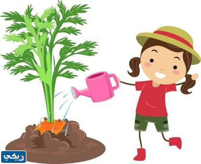 ثيمات يوم التخضير