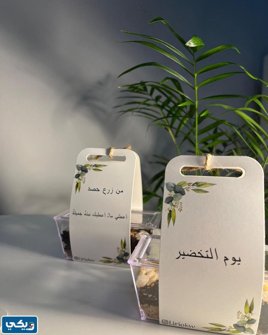 خلفيات يوم التخضير