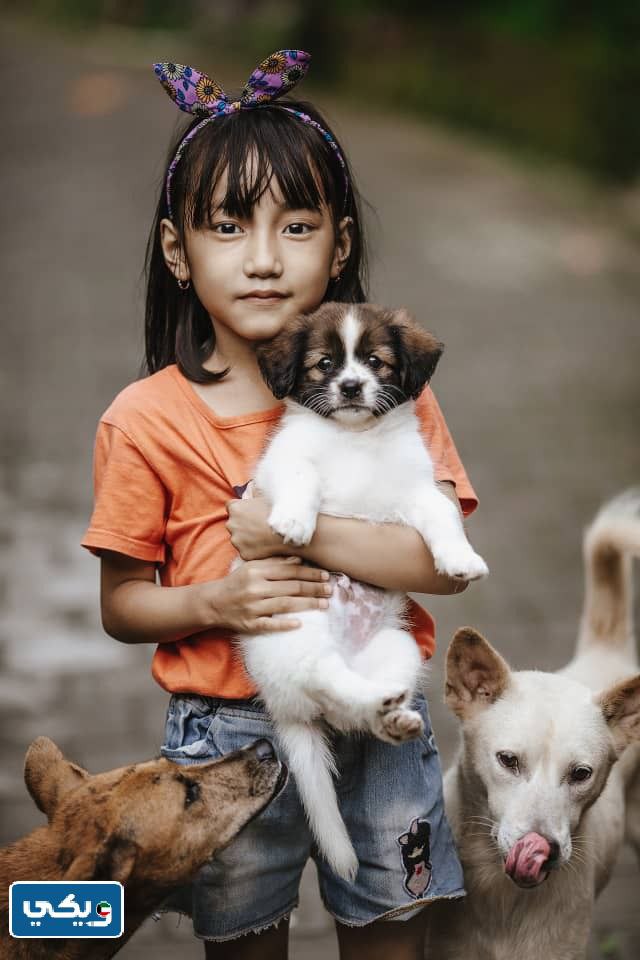 ثلاث جمل عن الرفق بالحيوان للصف الثالث الابتدائي بالانجليزي