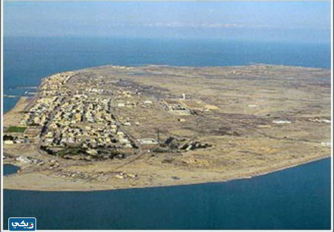 كم ساعة من الكويت إلى جزيرة فيلكا بالسيارة