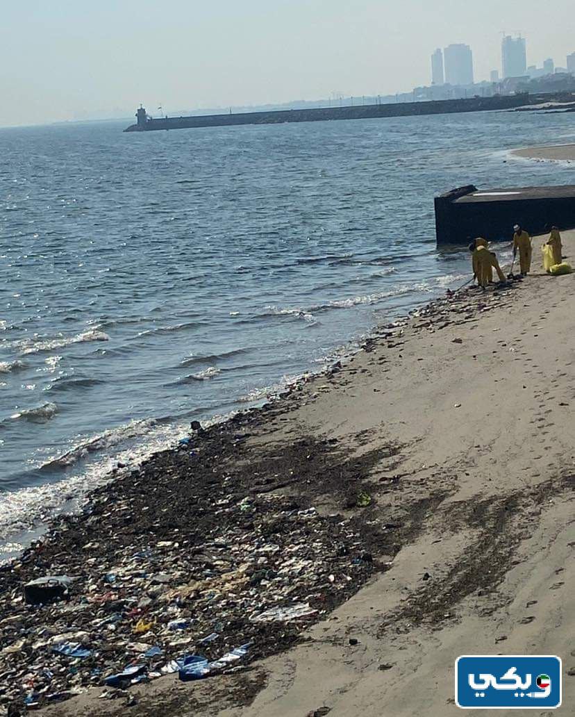 صور تدل على تلوث البيئة البحرية في الكويت