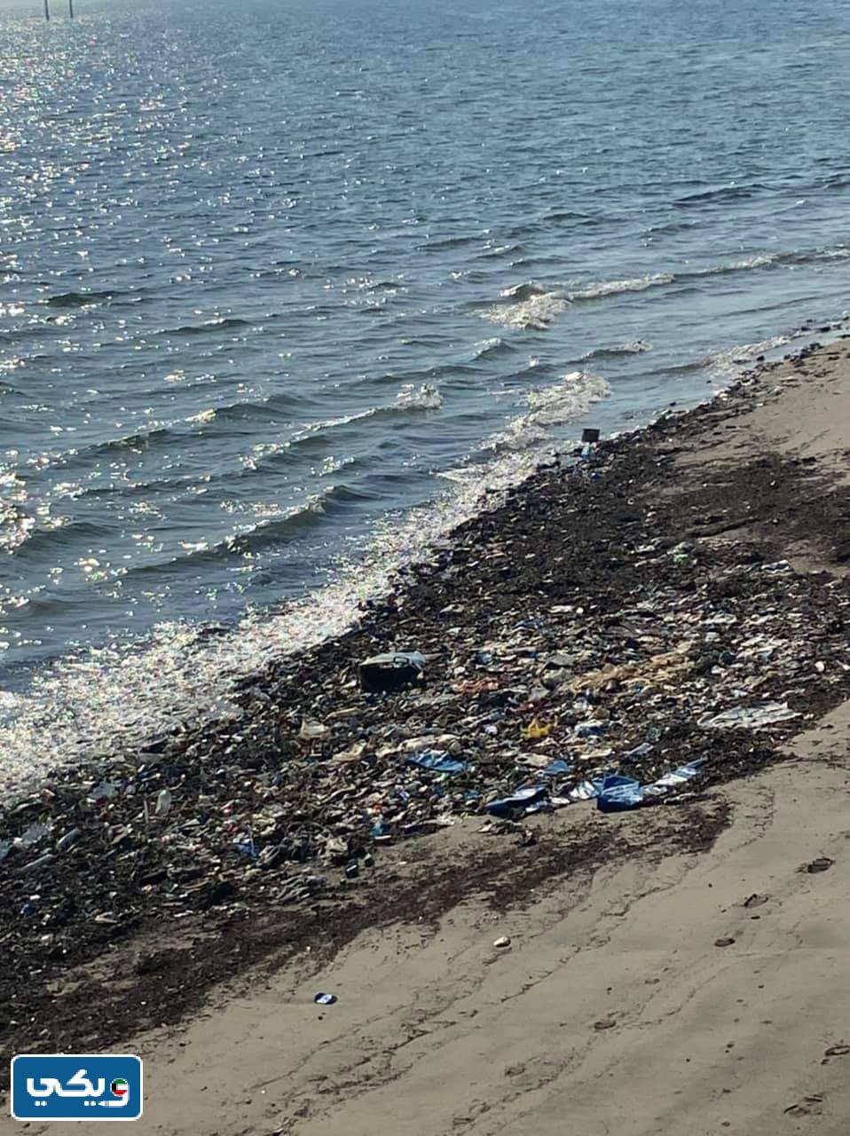 صور تدل على تلوث البيئة البحرية في الكويت