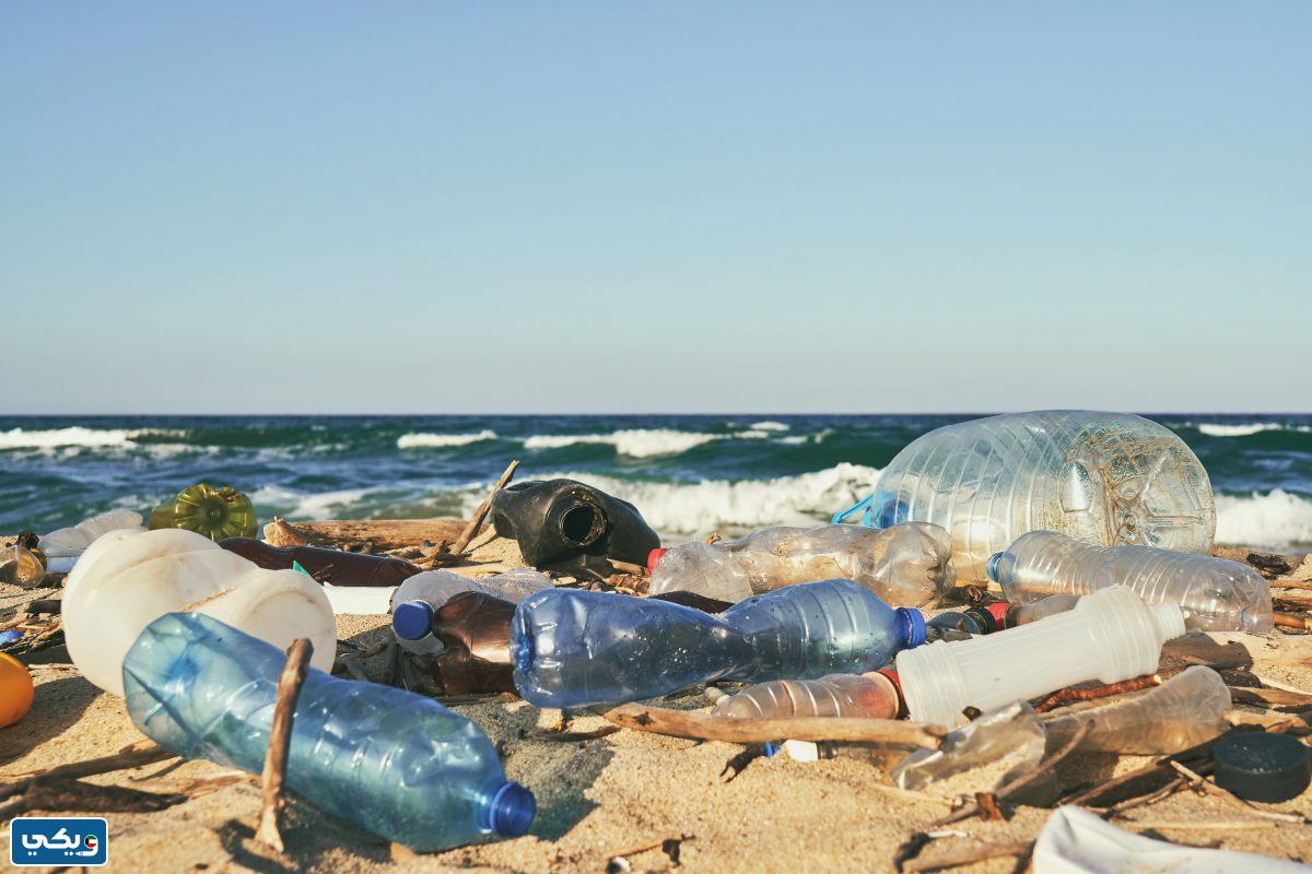 صور تدل على تلوث البيئة البحرية في الكويت