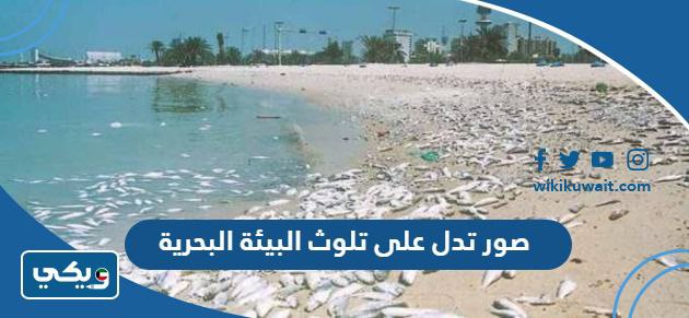 صور تدل على تلوث البيئة البحرية