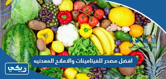 افضل مصدر للفيتامينات والاملاح المعدنيه