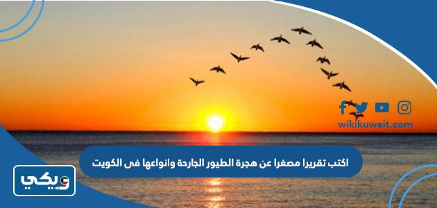 اكتب تقريرا مصغرا عن هجرة الطيور الجارحة وانواعها فى الكويت