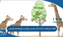 الكائنات الحية التي استطاعت الاستمرار في حياتها في بيئتها بالانتخاب الطبيعي