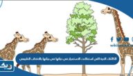 الكائنات الحية التي استطاعت الاستمرار في حياتها في بيئتها بالانتخاب الطبيعي الكائنات الحية التي استطاعت الاستمرار في حياتها في بيئتها بالانتخاب الطبيعي