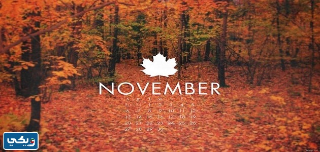 تشرين الثاني اي شهر