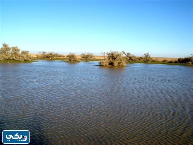 تضاريس الكويت واشكالها بالصور