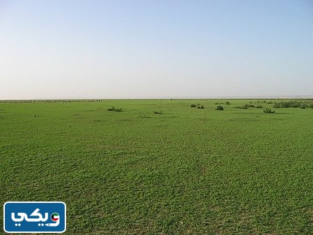 تضاريس الكويت واشكالها بالصور
