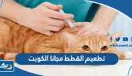 هل تطعيم القطط مجانا في الكويت 2025 هل تطعيم القطط مجانا في الكويت 2025