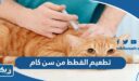 تطعيم القطط من سن كام