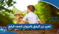 موضوع تعبير عن الرفق بالحيوان للصف الرابع الابتدائي