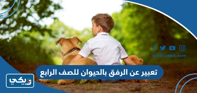 تعبير عن الرفق بالحيوان للصف الرابع