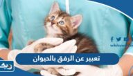موضوع تعبير عن الرفق بالحيوان pdf كامل العناصر