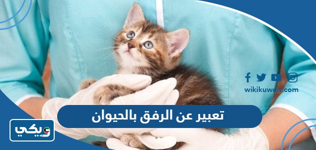 تعبير عن الرفق بالحيوان