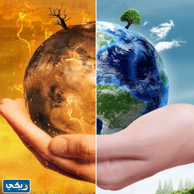 تقرير اجتماعيات للصف التاسع الفصل الاول 2024 الكويت