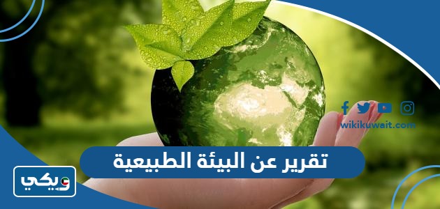 تقرير عن البيئة الطبيعية