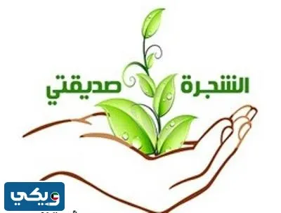 ثيم يوم التخضير