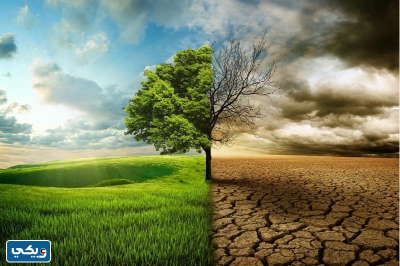 خاتمة تقرير اجتماعيات عن الاحتباس الحراري