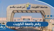 رقم جامعة الكويت للاستفسار وطرق التواصل