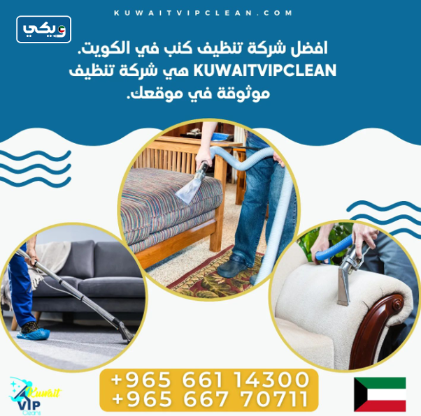 شركة VIP Cleans