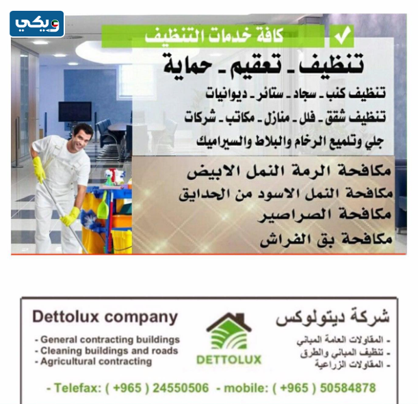 شركة ديتولوكس Dettolux