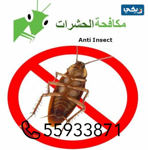 شركة نور الزهراء