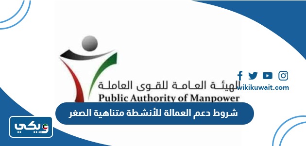 شروط دعم العمالة للانشطة متناهية الصغر