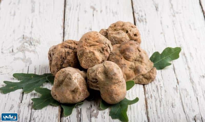 طريقة طبخ الفقع