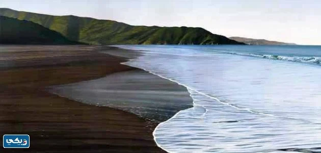 ظاهرة الحمل والفساد