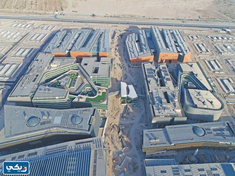 عنوان كلية العلوم الشدادية