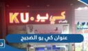 عنوان سوق كي يو فرع الضجيج
