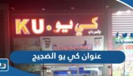 عنوان سوق كي يو فرع الضجيج عنوان سوق كي يو فرع الضجيج