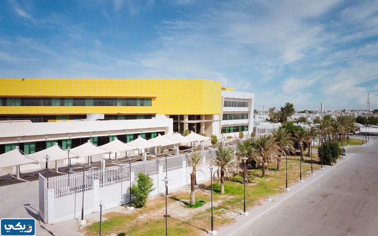 تخصصات كلية التربية الاساسية التطبيقي فرع الجهراء