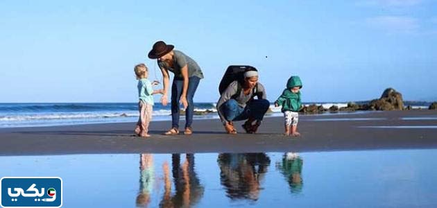 مقدمة تقرير عن رحله ممتعه قمت بها مع اسرتي