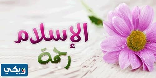 موضوع عن الرحمه