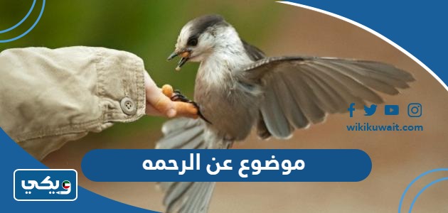 موضوع عن الرحمه