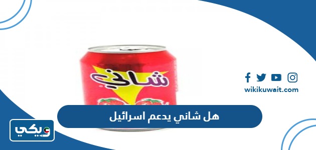 هل شاني يدعم إسرائيل