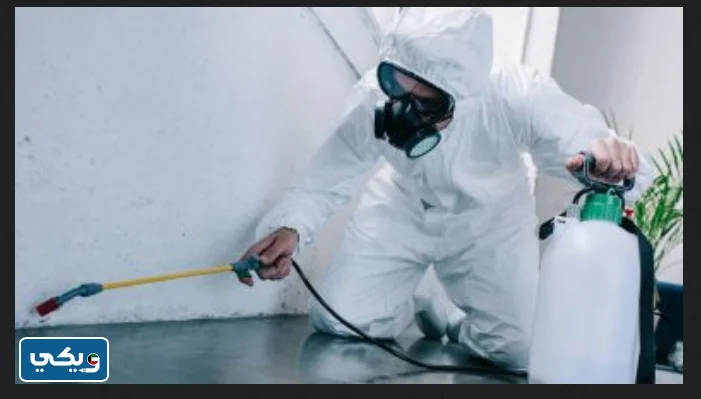 طرق التواصل مع مكافحة القوارض وزارة الصحة الفروانية