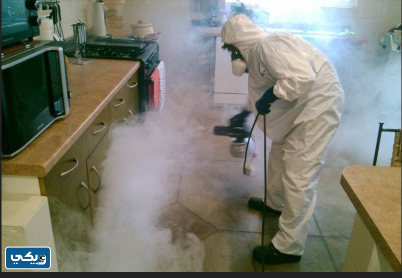 رقم مكافحة القوارض وزارة الصحة الفروانية للشركات