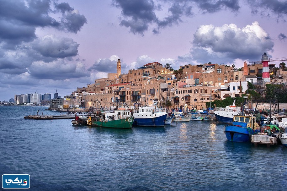 اسم تل ابيب قبل الاحتلال