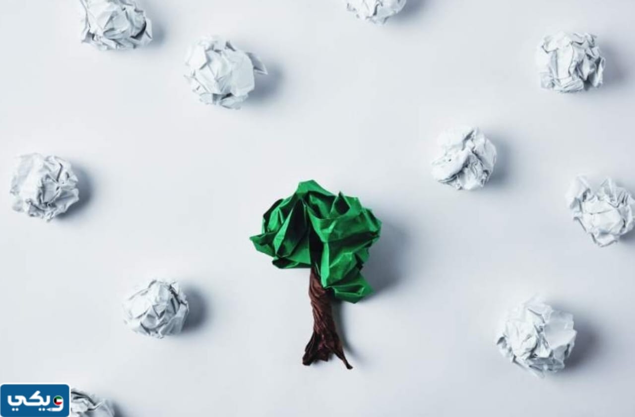 مشكلة الاستهلاك الكبير للورق في المدرسة