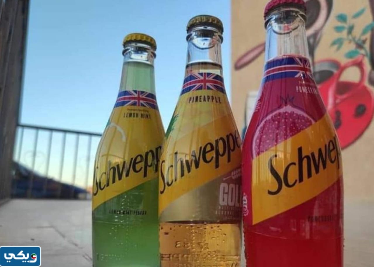 هل شويبس تدعم اسرائيل