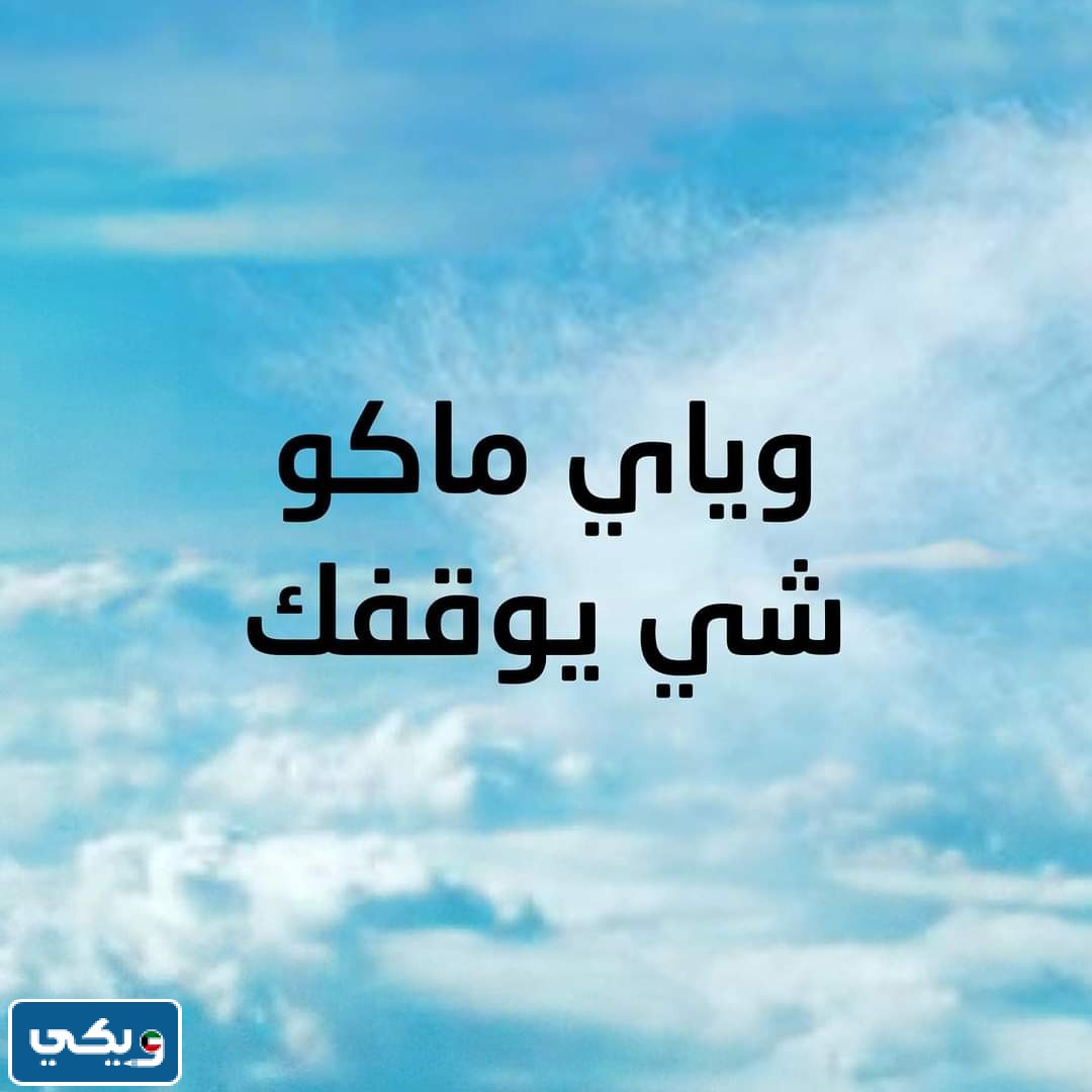 رقم بنك وياي لخدمة العملاء