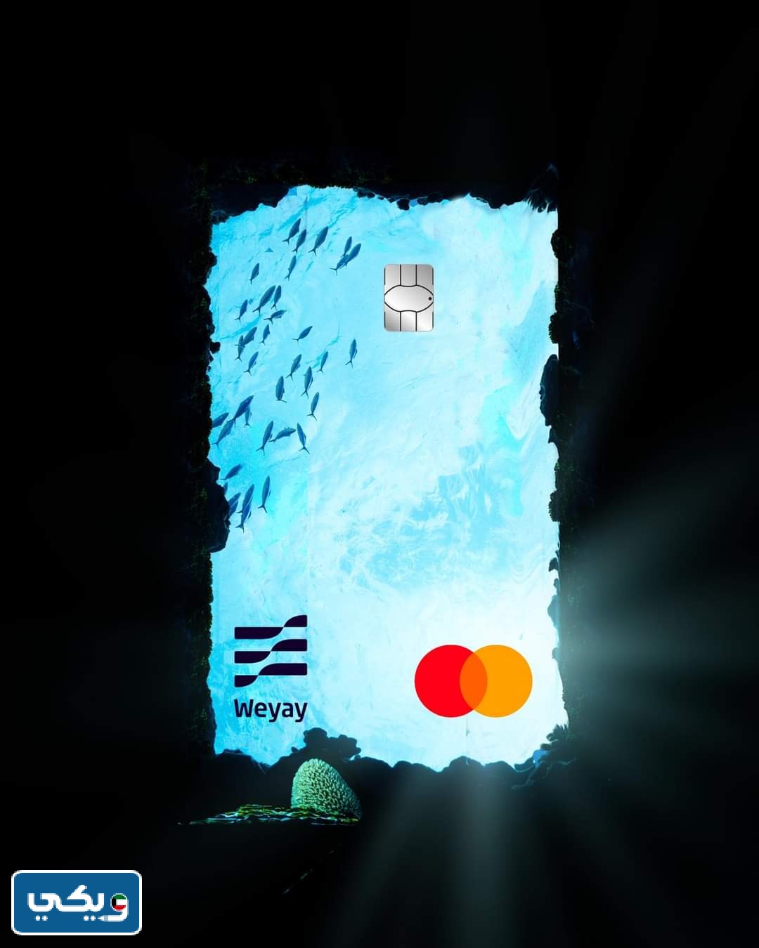 رقم بنك وياي واتساب لخدمة العملاء