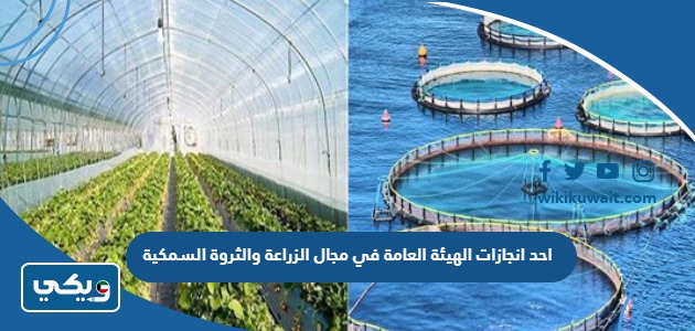 احد انجازات الهيئة العامة في مجال الزراعة والثروة السمكية