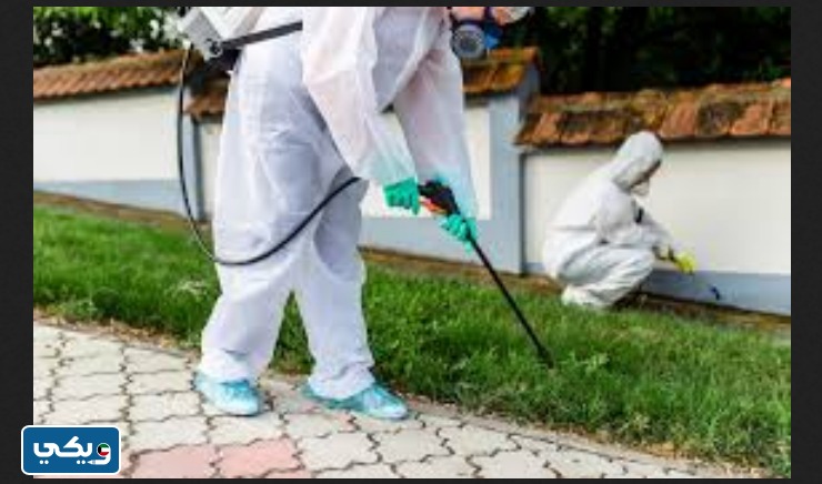 مواعيد عمل مكافحة القوارض الفروانية