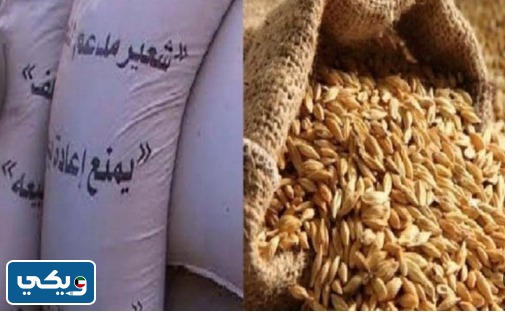 سعر الشعير غير المدعوم في الكويت